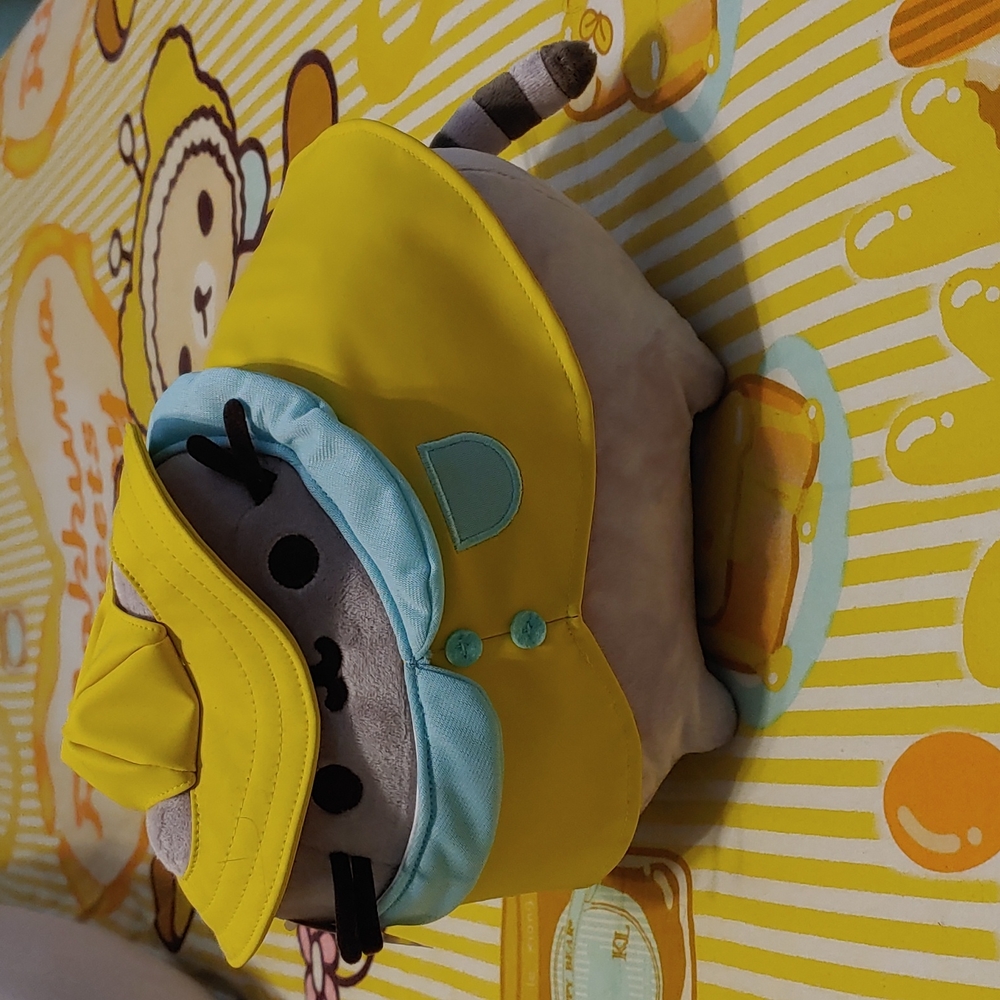 RARE Raincoat Pusheen Plush